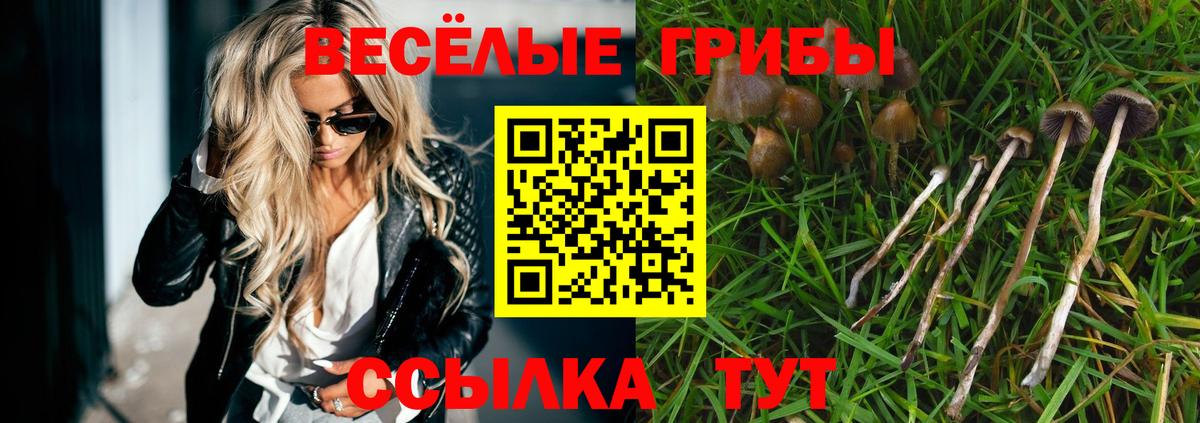 Кирово-Чепецк  Псилоцибиновые грибы GOLDEN TEACHER  Псилоцибиновые грибы Psilocybe  закладка  Вход с VPN 
